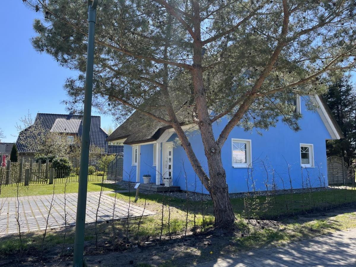 Ferienhaus De Niege Leive Борн Экстерьер фото